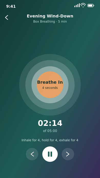 Guided breathing session player with a circular breathing animation cue and session timer