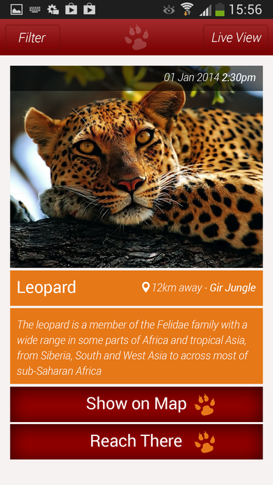Leopard sighting detail screen with photo, description, location, Show on Map, and Reach There actions.