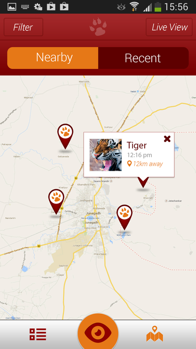 Map view with multiple paw-print sighting pins and a tapped Tiger preview card.