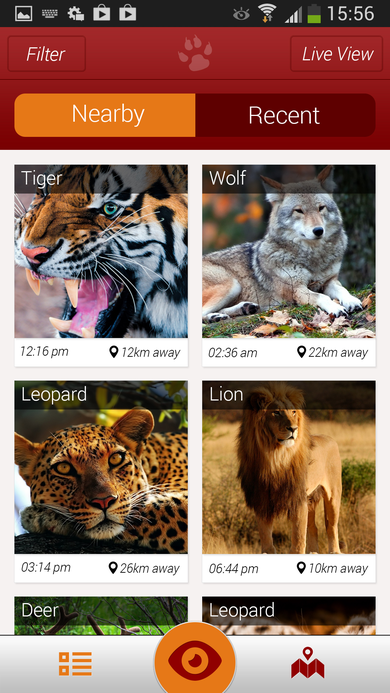 Nearby sightings feed showing photo cards for Tiger, Wolf, Leopard, and Lion with timestamps and distances.